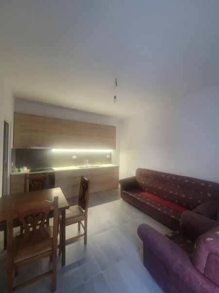 Tirane, jepet me qera Vile 1+1 , 40 m² 250 € (Kasem Qafzezi)