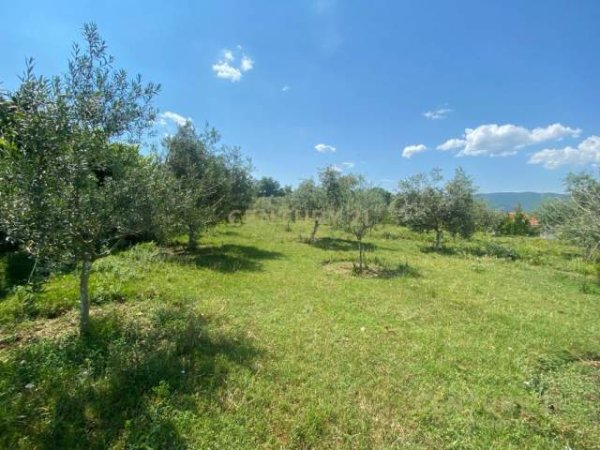 Tirane, shes toke 600 m² 40.000 Euro (Peze)