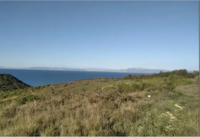 Durres, shitet toke ne bregdet , 8.000 m² 320.000 € (Kepi Rodonit)