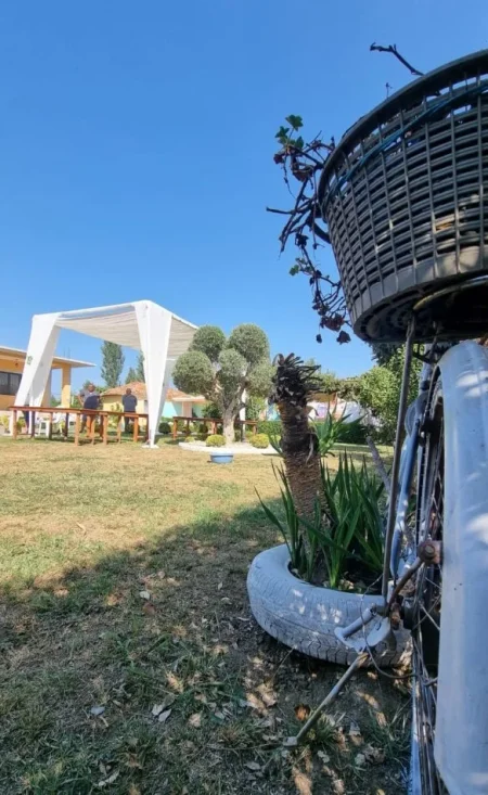 Tirane, oferte Tenda me qera per dasma dhe evente 100 €