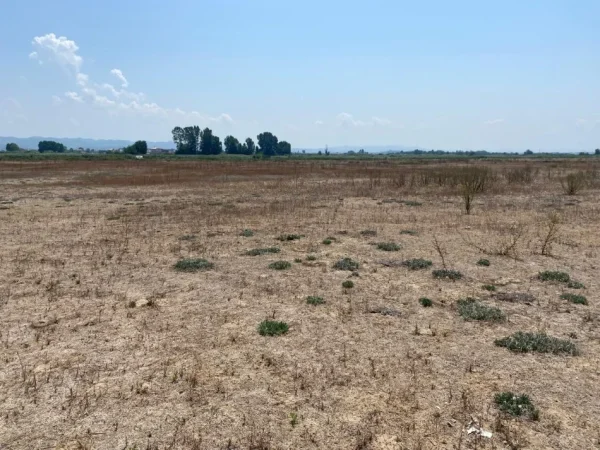 Durres, shitet truall , 4.600 m² 184.000 € (Gjiri Lalezit)