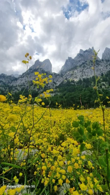 Vos vacances en Albanie. Circuit en groupe, solo, couple ou en famille !