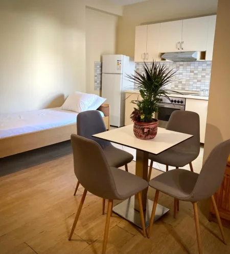 Tirane, jap me qera Vile 1+1+Ballkon Kati 1, 60 m² 600 € (RR.e Elbasanit)
