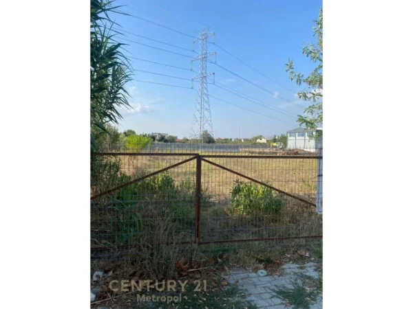 JEPET TOKE ARE ME QERA BUZE RRUGE NE ZONEN E VALIASIT NE KAMEZ. Metropol99971