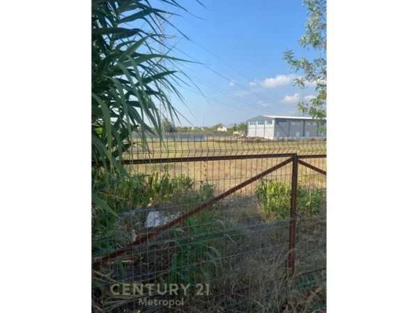 JEPET TOKE ARE ME QERA BUZE RRUGE NE ZONEN E VALIASIT NE KAMEZ. Metropol99971