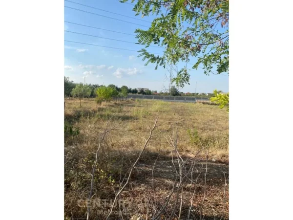 JEPET TOKE ARE ME QERA BUZE RRUGE NE ZONEN E VALIASIT NE KAMEZ. Metropol99971