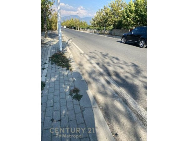 JEPET TOKE ARE ME QERA BUZE RRUGE NE ZONEN E VALIASIT NE KAMEZ. Metropol99971