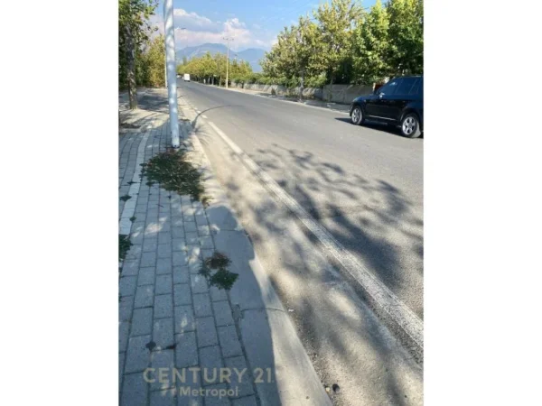 JEPET TOKE ARE ME QERA BUZE RRUGE NE ZONEN E VALIASIT NE KAMEZ. Metropol99971