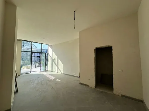 Tirane, jepet me qera dyqan Kati 0, 40 m² 1.200 € (Lake View)