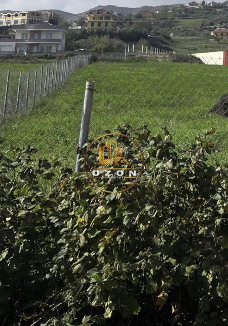 Tirane, shes toke 3.500 m² 95.000 Euro (City Park)