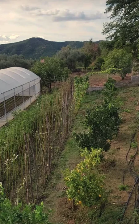 Tirane, shes shtepi 4+1+Ballkon , 5.000 m² 600.000 € (Tufine)