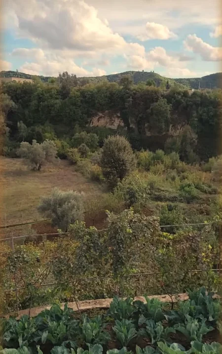 Tirane, shes shtepi 4+1+Ballkon , 5.000 m² 600.000 € (Tufine)