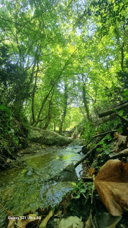 Shqiperi, shpallje Vos vacances en Albanie