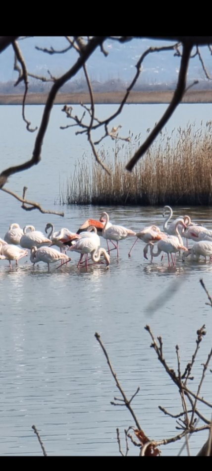 Shqiperi, shpallje Vos vacances en Albanie