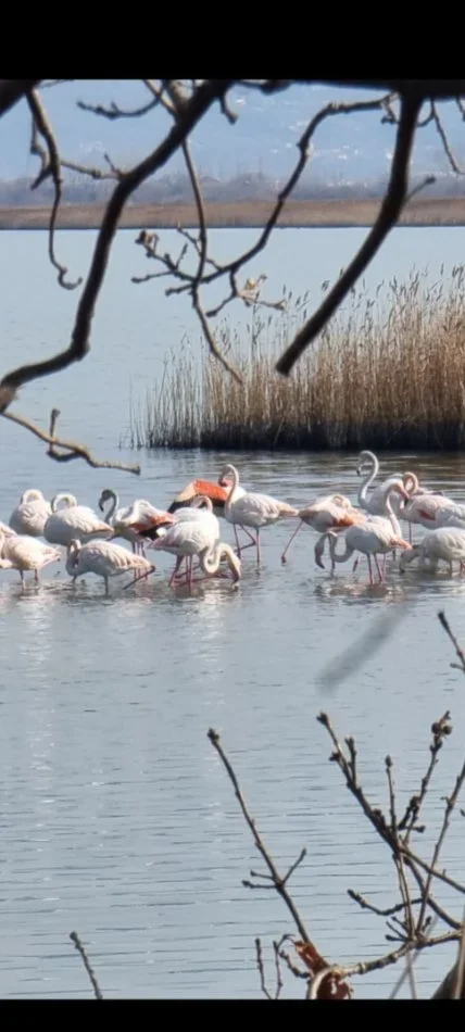 Shqiperi, shpallje Vos vacances en Albanie