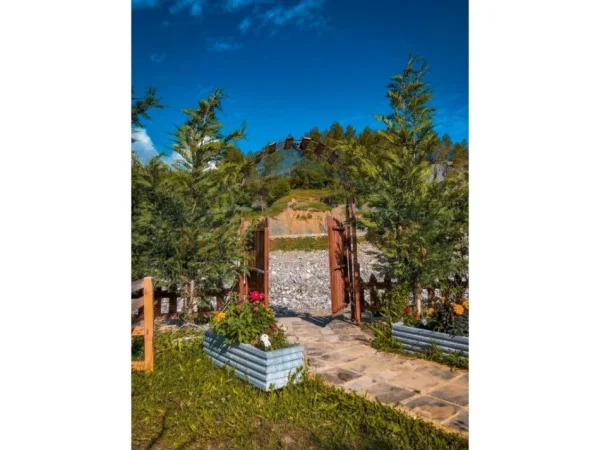 Tirane, jepet me qera bar-resorant Kati 0, 107 m² 1.500 € (Shkalla e Tujanit.)