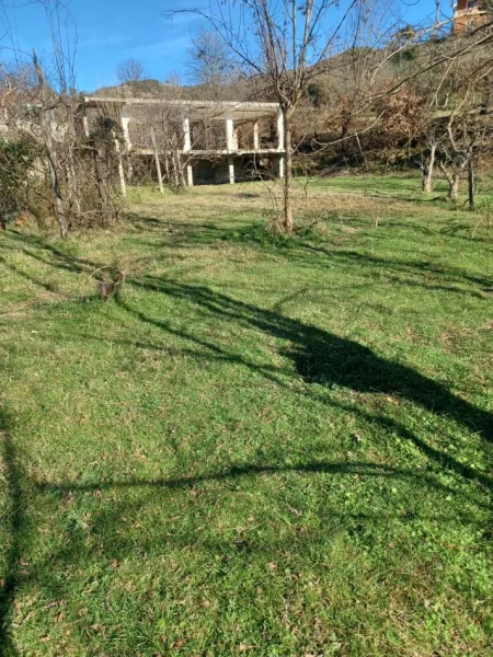 Tirane Marqinet, shitet toke , 3 dylym 60.000 lek