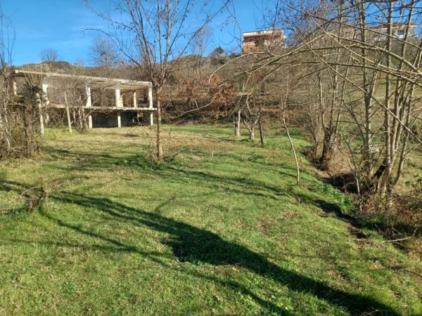 Tirane Marqinet, shitet toke , 3 dylym 60.000 lek