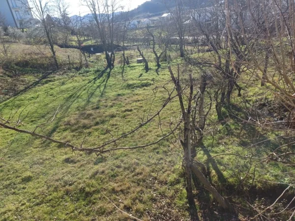 Tirane Marqinet, shitet toke , 3 dylym 60.000 lek