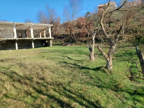 Tirane Marqinet, shitet toke , 3 dylym 60.000 lek