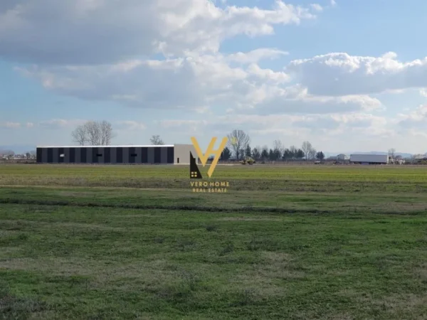 Durres, jepet me qera ambjent biznesi Kati 0, 1.300 m² 2.900 € (BUDULL)