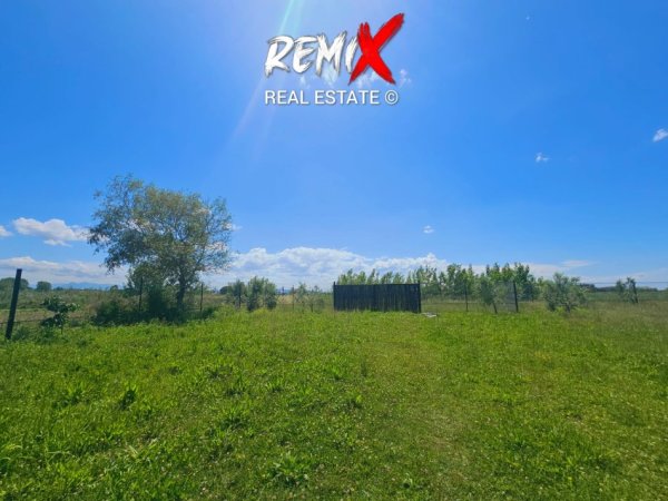 Durres, jepet me qera toke bujqesore , 6.000 m² 