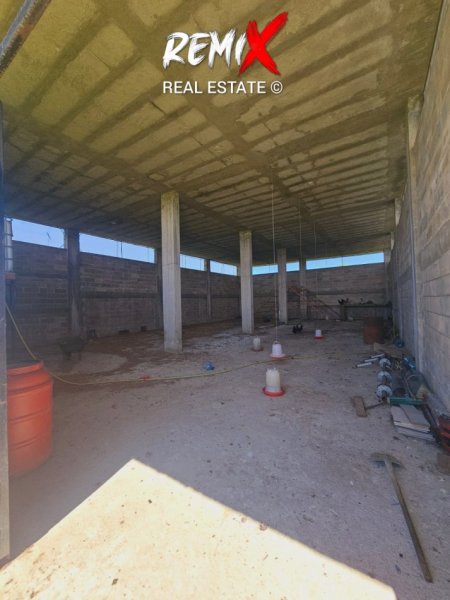 Durres, jepet me qera toke bujqesore , 6.000 m² 