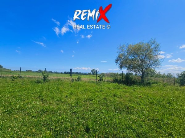 Durres, jepet me qera toke bujqesore , 6.000 m² 