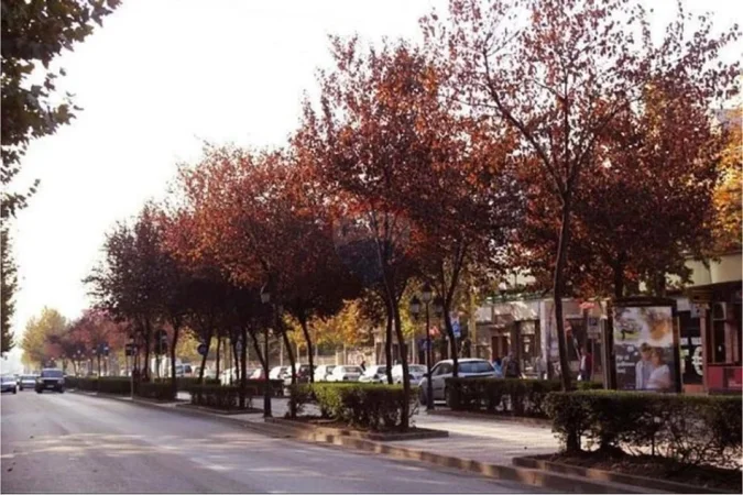 Tirane, shitet zyre Kati 0, 67 m² 170.000 € (RRUGA E KAVAJES)