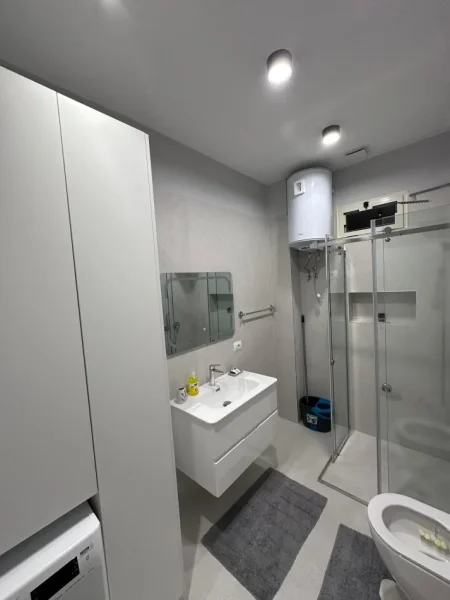 Tirane, jap me qera ditore apartament 1+1 Kati 1, 60 m² 65 €