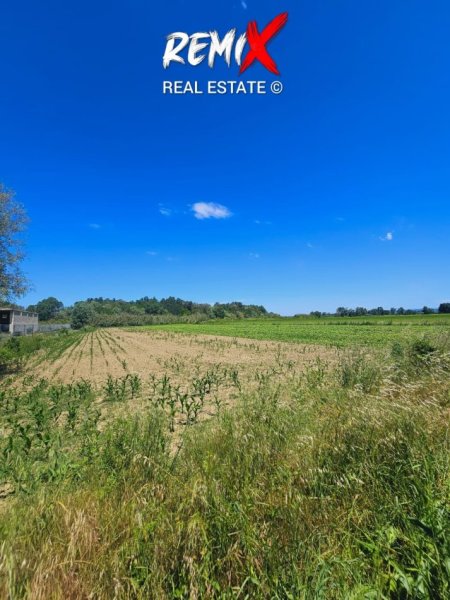 Gjiri Lalezit | Hamallaj, shitet toke bujqesore , 12.000 m² 85.000 € 