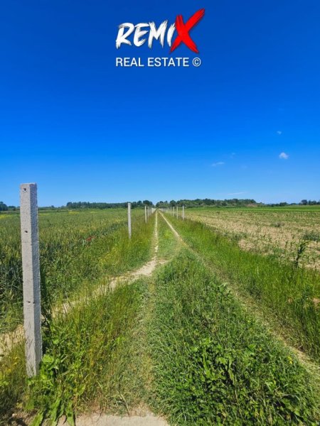 Gjiri Lalezit | Hamallaj, shitet toke bujqesore , 12.000 m² 85.000 € 