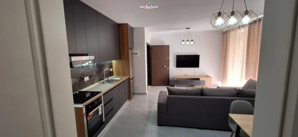 Tirane, jepet me qera apartament 2+1 Kati 1, 80 m² 390 € (fresku)