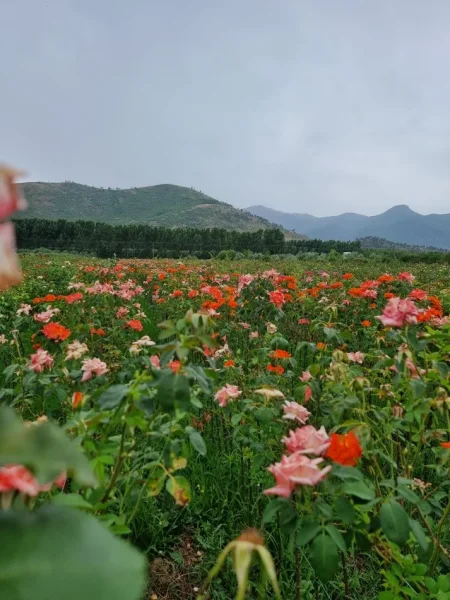 Evadez vous en Albanie. Circuit en famille, solo ou en groupe