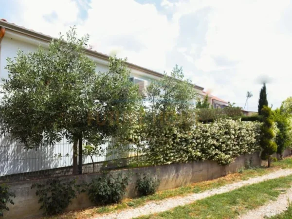 Durres, shitet shtepi 1+1 Kati 1, 79 m² 120.000 € (sukth,durres)