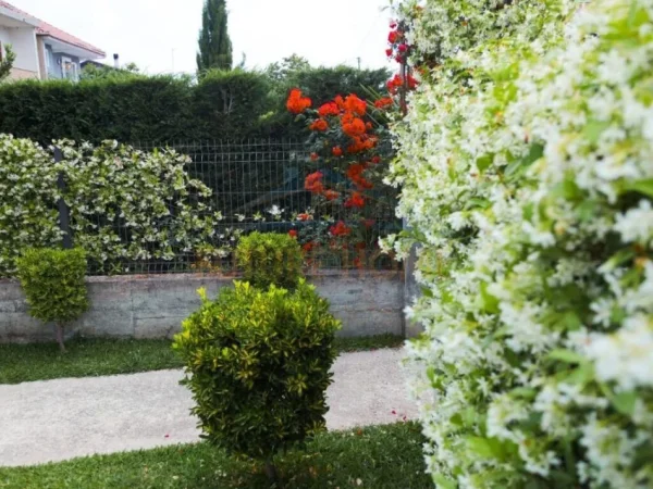 Durres, shitet shtepi 1+1 Kati 1, 79 m² 120.000 € (sukth,durres)