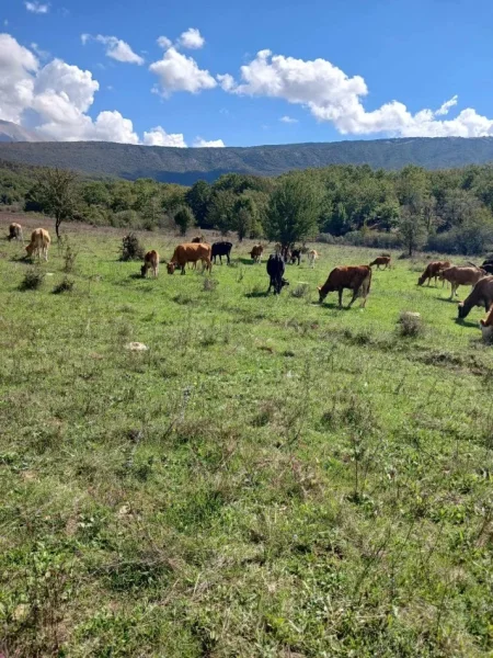 Gjirokaster, shes Lop mali