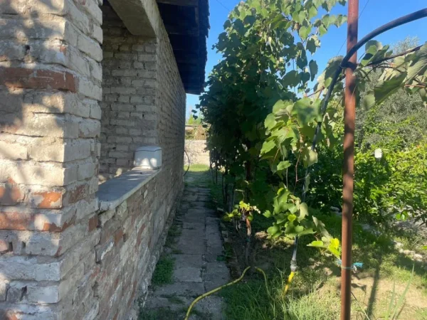 Tirane, shes , 400 m² 60.000 € 