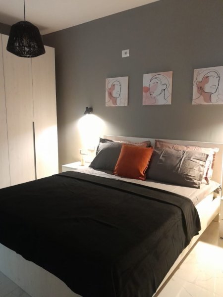 Tirane, jepet me qera apartament 2+1+Ballkon Kati 5, 70 m² 800 € (Myslym Shyri)