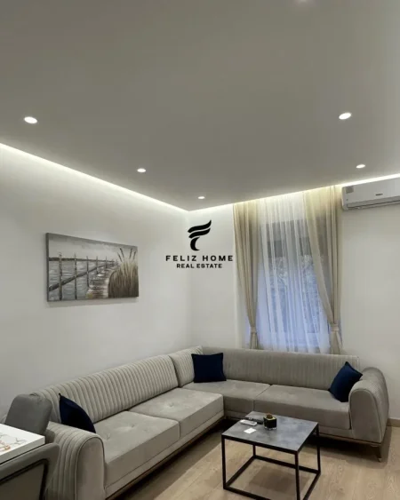 Tirane, jepet me qera apartament 1+1 Kati 2, 45 m² 800 € (BLLOKU)