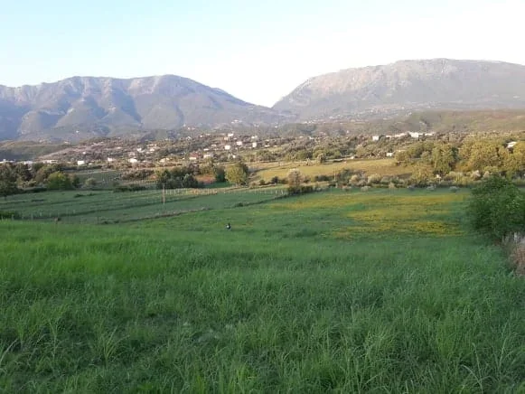 Tirane, shes toke , 12.000 m² 1.920.000 € (LUNDER)