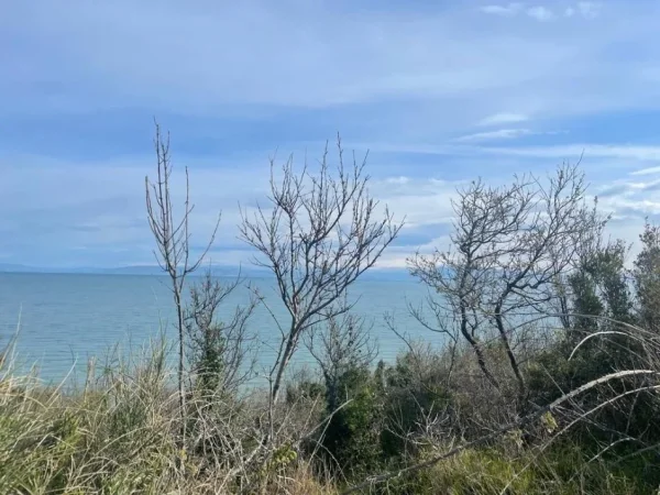 Durres, shes toke ne bregdet , 11.125 m² 723.125 € (KEPI RODONIT)