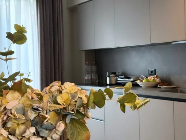 Tirane, jepet me qera apartament 3+1 , 140 m² 2.000 € (Rruga e Elbasanit)