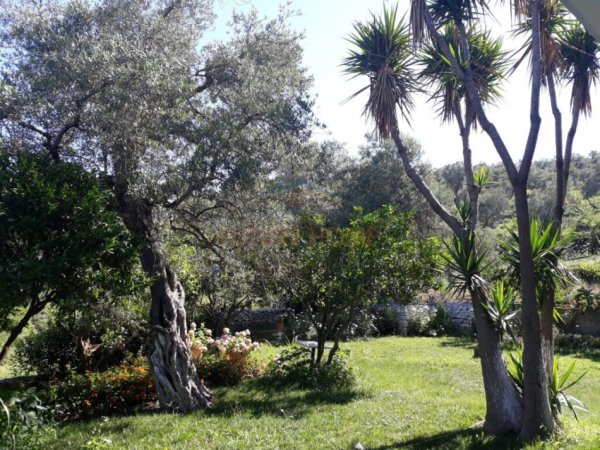 Vlore, shitet Vile 2+1 Kati 0, 500 m² 550.000 € (lagjia Hajro Cakerri,Vlorë) RV 45143