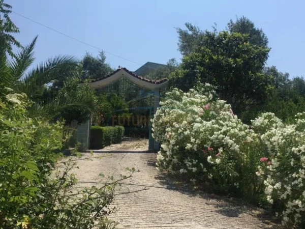 Vlore, shitet Vile 2+1 Kati 0, 500 m² 550.000 € (lagjia Hajro Cakerri,Vlorë) RV 45143