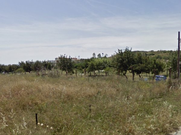 Tirane, shes truall , 20.000 m² (kombinat)