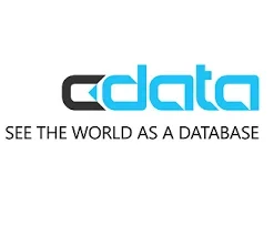 cdata.webp