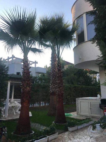 Villa for rent near the sea Durres (Qerret)
