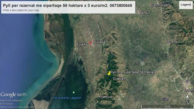 Lushnje, shes pyll 560.000 m² 3 Euro/m2 (Kodrat perballe Divjakes)
