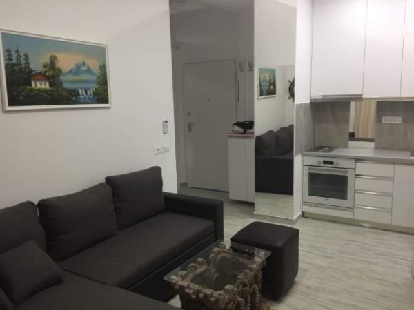Tirane, qera apartament 1+1+BLK Kati 2, 58 m², Komuna e Parisit)